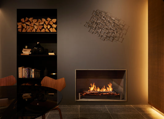 Modern living room with a fireplace and bookshelf.