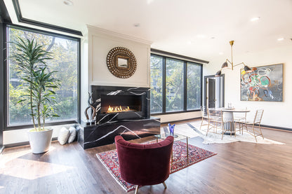 EcoSmart Fire Flex 50SS Single Sided Ethanol Fireplace Insert