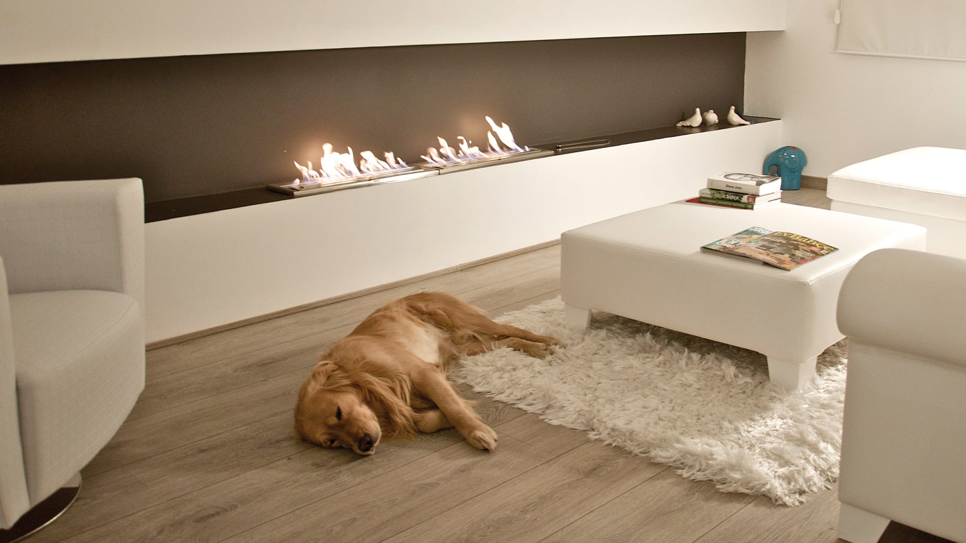 Modern bioethanol fireplace set in a wall cavity with a leather ottoman and dog sleeping in front