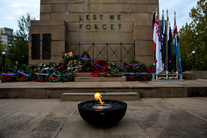 Memorial with wreaths, flags, and a eternal flame in front