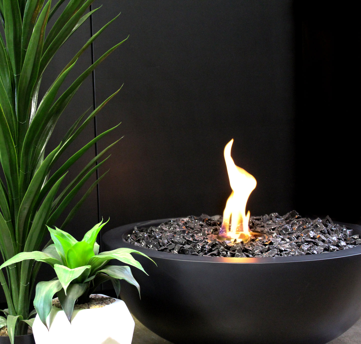 Fire pit with flames next to potted plants against a black background