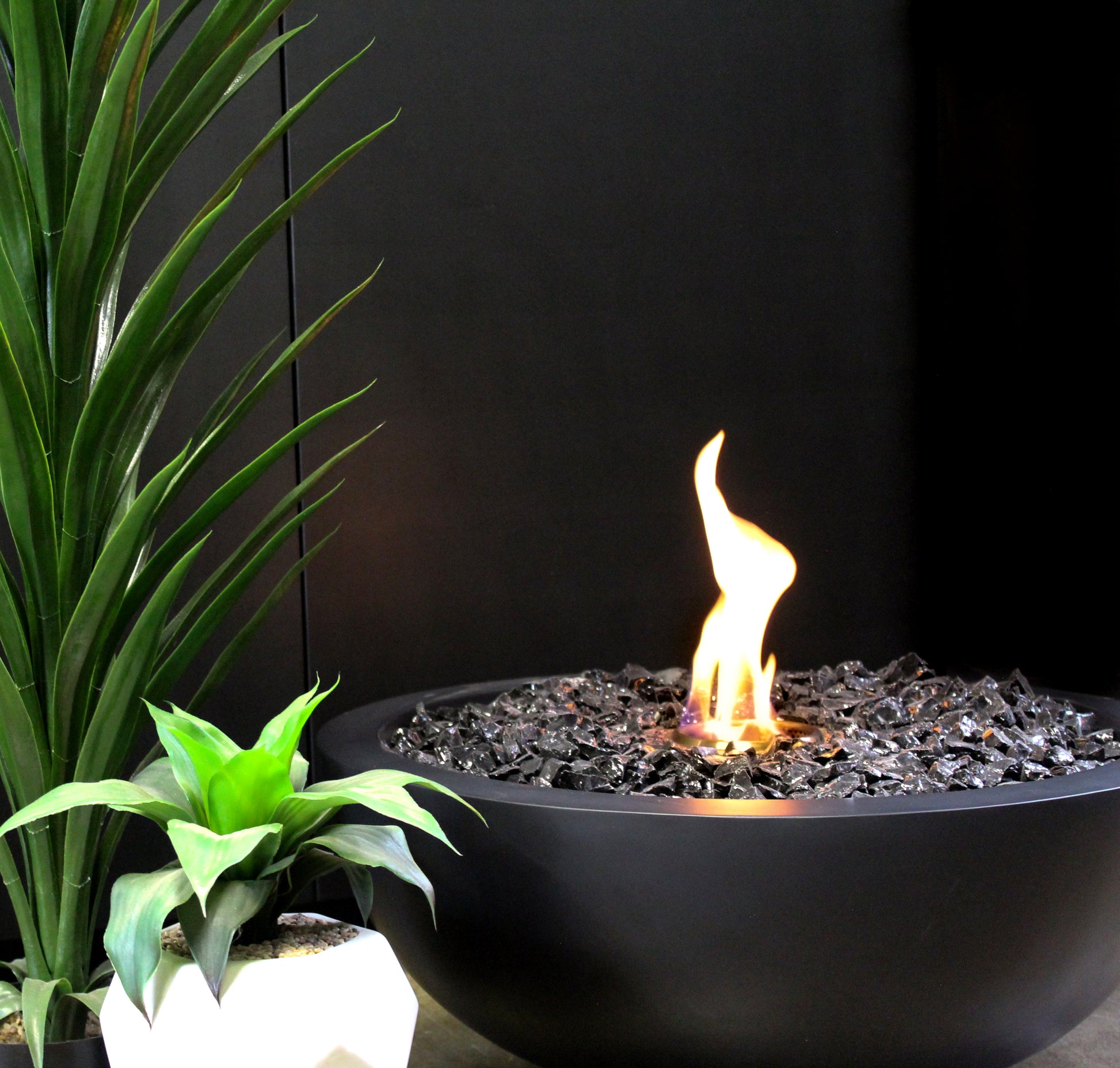 Fire pit with flames next to potted plants against a black background