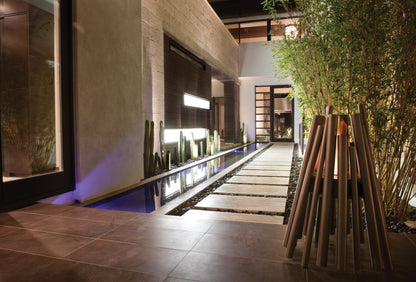 Modern indoor garden with plants and a water feature.