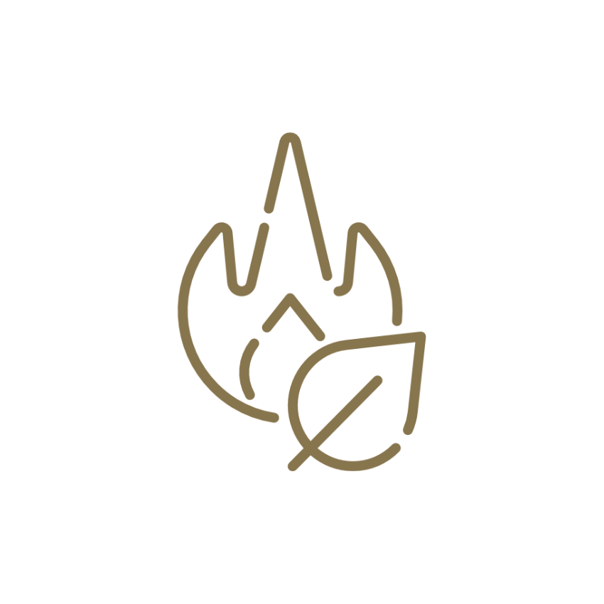 Icon of a flame and leaf in gold on a white background