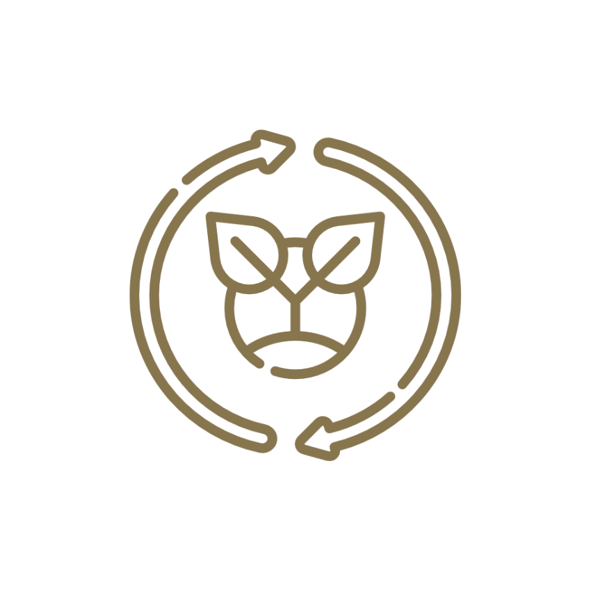 Icon of a plant with circular arrows around it on a white background